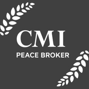 Crisis Management Initiative (CMI)